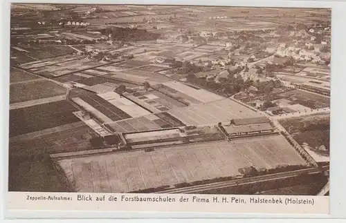 67532 Werbe Ak Zeppelin Aufnahme Halstenbek Forstbaumschulen Firma Pein um 1930