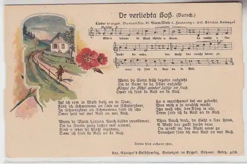 67157 Anton Günther Lied Ak "Dr verliebta Boß (Bursch)" um 1920