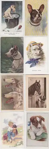 64811/8 Ak avec chiens comme motif vers 1910