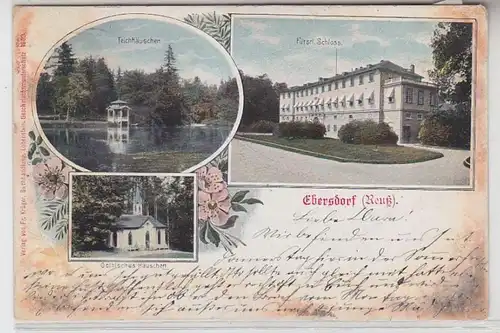 64591 Ak Lithografie Ebersdorf (Reuß) Teichhäuschen, Fürstl. Schloss usw. 1906