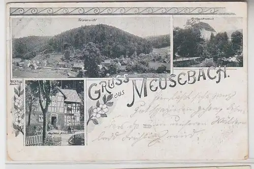 64478 Mehrbild Ak Gruss aus Meusebach Gasthaus, Forsthaus, Totalansicht 1917