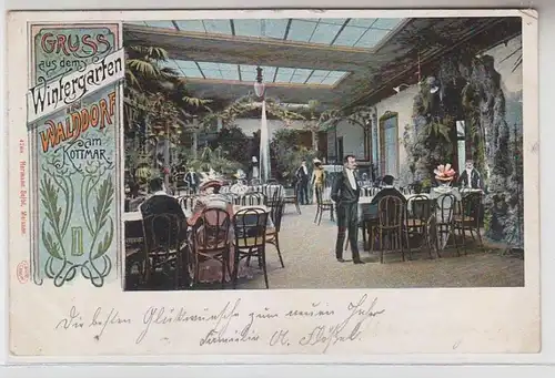 64185 Ak Gruß aus dem Wintergarten in Walddorf am Kottmar 1902
