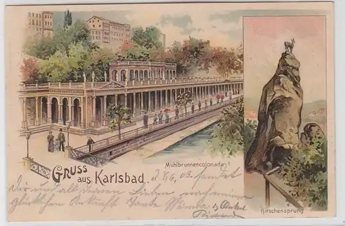 63655 Ak Lithographie Salutation de Karlovy Vary Colonnade de Mühlbrunnen, saut de cerf