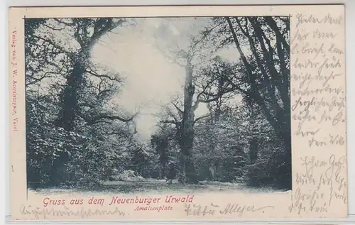 62503 Ak Gruß aus dem Neuenburger Urwald Amalienplatz 1906