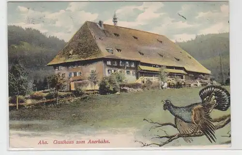 62324 Ak Aha Gasthaus zum Auerhahn 1906