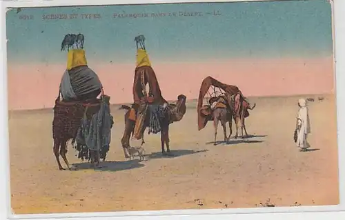 62111 Ak Afrika Dromedare Karawane Wüste um 1910