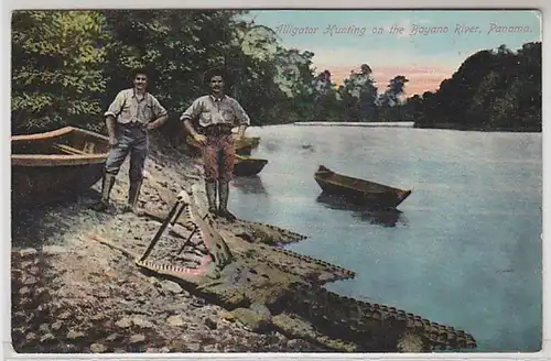 62108 Ak Panama Alligator Hunting on the Bayano River um 1910