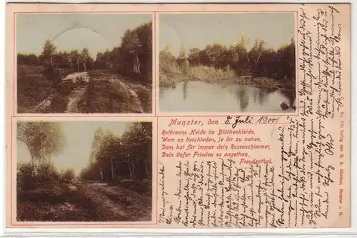 61913 Multi-image Ak Munster Vues de la lande 1900