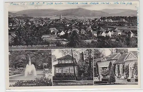 61876 Multi-image Ak Bad Driburg dans la forêt de Teutoburg 1954