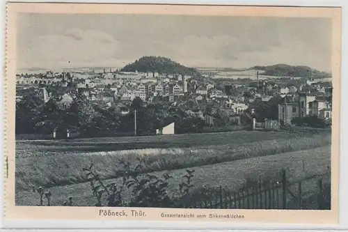 61848 Ak Pößneck in Thüringen Gesamtansicht vom Birkenwäldchen um 1930