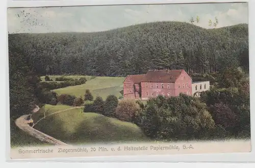 63460 Ak Sommerfrische Ziegenmühle 20 Min. v.d. Haltestelle Papiermühle 1907