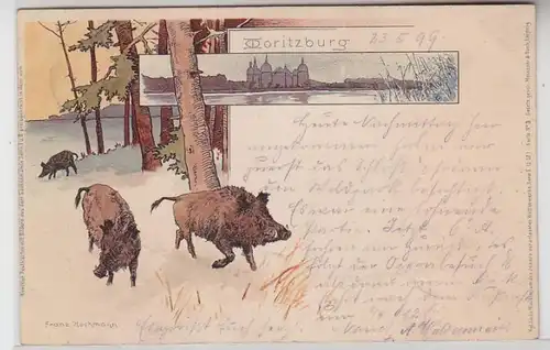 62781 Ak Lithographie Schloß Moritzburg mit Wildschweinen 1899