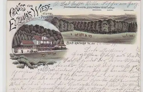 62748 Ak Lithographie Gruss von Euling's Wiese Hotel e. Pension Bad Sachsa 1899