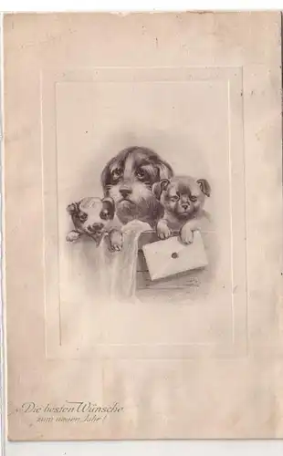 60535 Neujahrs Ak Hund mit 2 Welpen und Brief um 1910