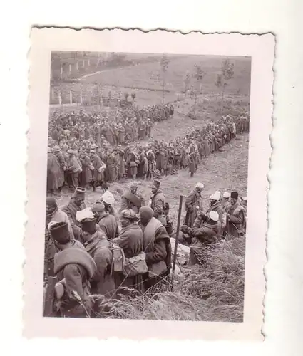 60497 Original Foto große Gruppe alliierter Gefangener im 2. Weltkrieg