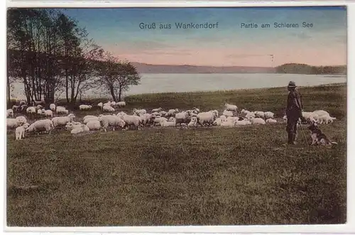 60330 Ak Salutation de Wankendorf Partie am Schieren See 1926