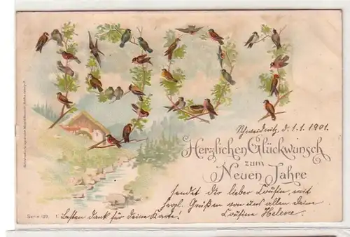 59951 Neujahrs Präge Ak Vögel bilden die Jahreszahl 1901