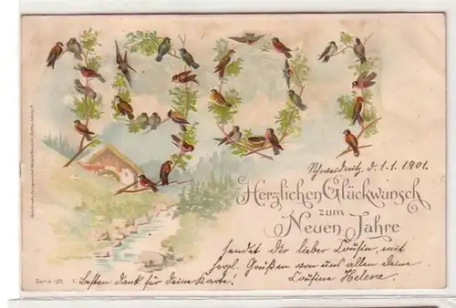 59951 Nouvel An Les oiseaux de l'Ak de marque forment l 'année 1901