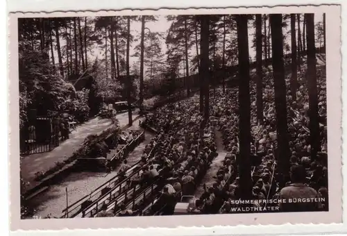 59440 Photo Ak Fruit d'été Bürgstein Waldtheater vers 1940