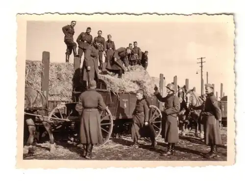 59763 Photo originale Les soldats allemands chargent le foin en Russie dans la 2e guerre mondiale