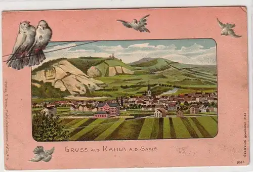 59575 Tauben Präge Ak Gruß aus Kahla an der Saale 1910