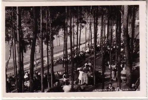 59573 Photo Ak Fruit d'été Bürgstein Waldtheater vers 1940