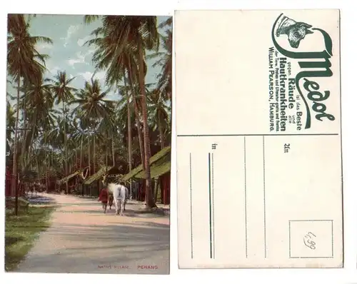59386 Medol Reklame Ak Penang Malaysia native Village um 1910