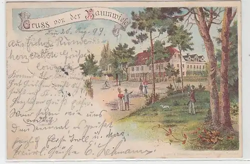 59210 Ak Lithographie Gruß von der Baumwiese 1899
