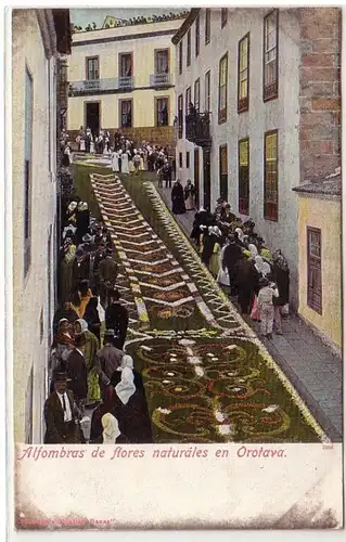 59198 Ak Alfombras de flores naturales en Orotava Espagne vers 1910