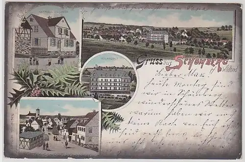 59110 Ak Lithographie Gruß aus Schömberg Wildbad um 1905