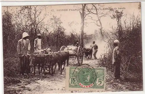 59045 Ak Guinee Francaise Kindia Attelage de boeufs 1907