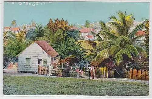 58435 Ak Nicaragua Landschaft bei Bluefields um 1910