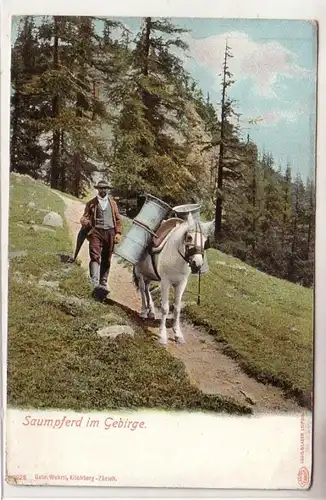 58206 Ak Suisse Schaumpferd im Bergbau Wehrli AG Kilchberg Zürich Nr.9928 vers 1910