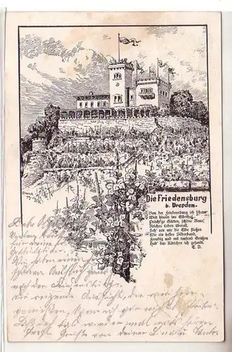 57970 Ak Die Friedensburg bei Dresden 1899