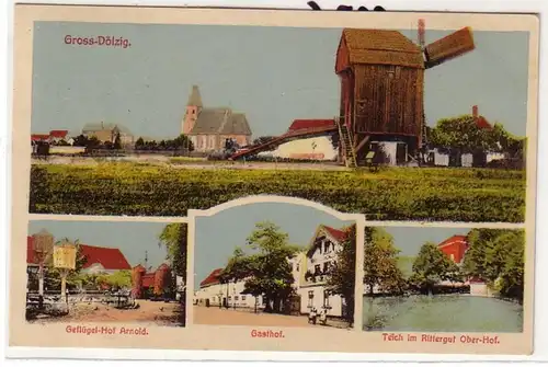 57929 Mehrbild Ak Gross-Dölzig Windmühle, Gasthof, Geflügelhof, Rittergut 1925