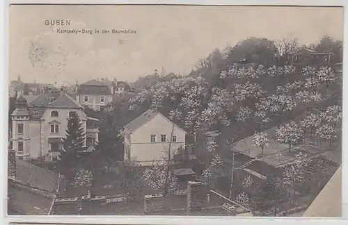 57848 Ak Guben Kaminsky-Berg in der Baumblüte 1909