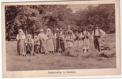 57805 Ak Feldarbeiter in Serbien um 1940