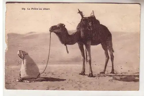 57501 Ak d'un légionnaire étranger allemand du Maroc chef de chameau 1927