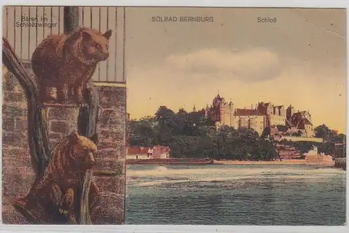 56352 Ak Solbad Bernburg Schloß und Bären im Schloßzwinger 1919