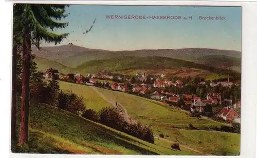 56171 Feldpost Ak Wernigerode Hasserode am Harz Brockenblick 1917