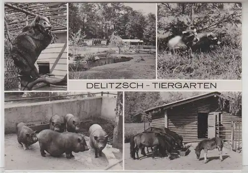 56106 Mehrbild Ak Delitzsch Tiergarten 1977