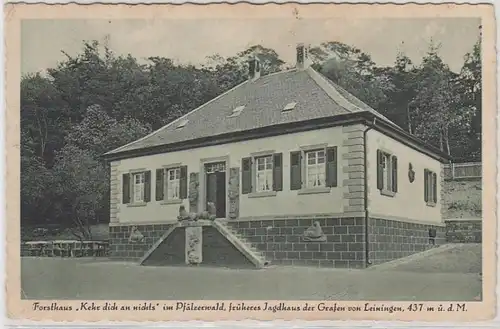 55907 Ak Forsthaus "Kehr dich an nichts" bei Bad Dürkheim um 1930