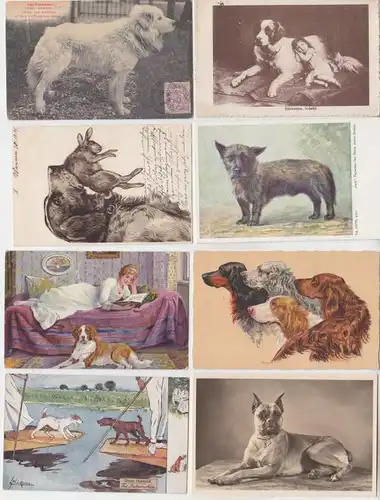 55802/8 Ak avec chiens comme motif vers 1910