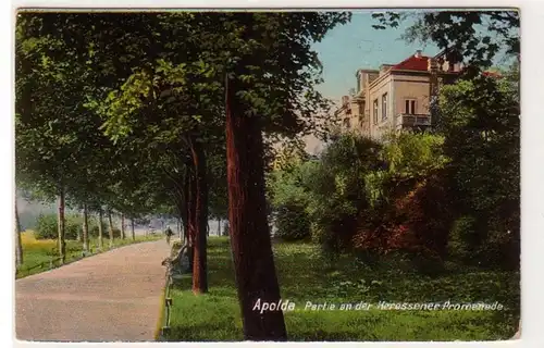 55465 Ak Apolda Partie an der Heressener Promenade 1913