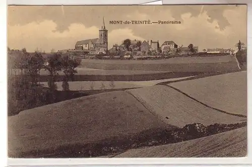 55363 Ak Mont de Trinité France France Panorama 1918