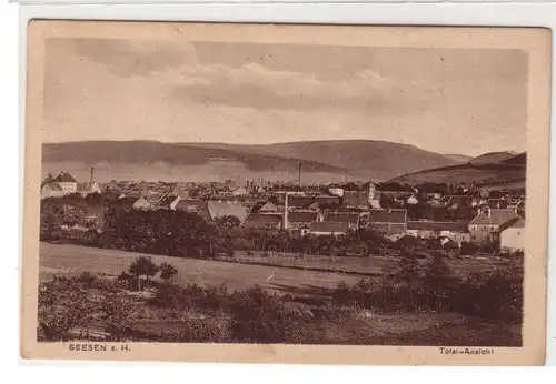 58441 Künstler Ak Seesen am Harz Totalansicht um 1930