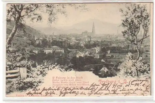54924 Ak Fribourg in Breisgau Vue totale 1901