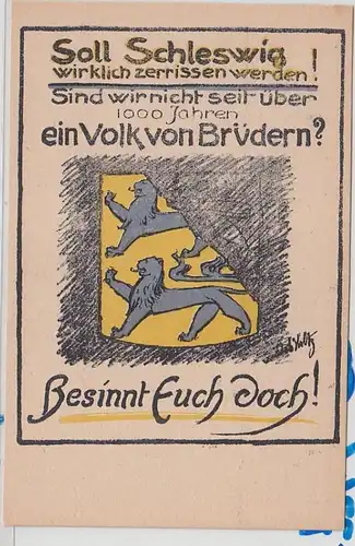 53641 Propaganda Ak Schleswig Erinnerung an die Abstimmung am 14. März 1920