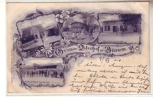 53521 Mehrbild Ak Gruß aus Osterhof bei Büsum 1900