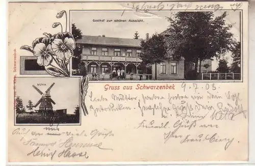 53415 Ak Gruß aus Schwarzenbek Windmühle und Gasthof zur schönen Aussicht 1903